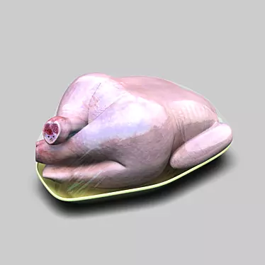 Succulent chicken in packaging 3D model image 1 