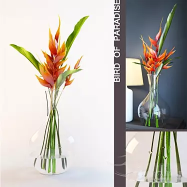 Exquisite Bird of Paradise Vase 3D model image 1 