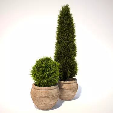 Lush Pot Plant 3D model image 1 