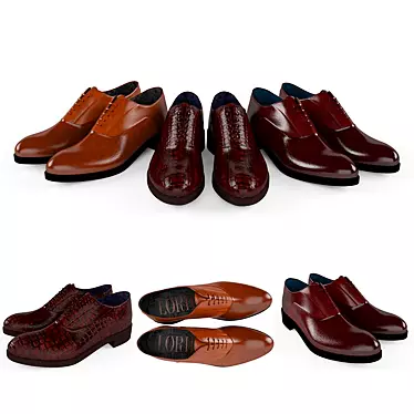 Luxury Men's Shoes by Loriblu 3D model image 1 