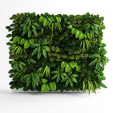 green wall - 3D models category