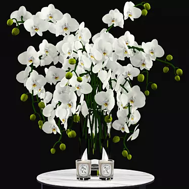 Elegant White Orchid Bouquet 3D model image 1 