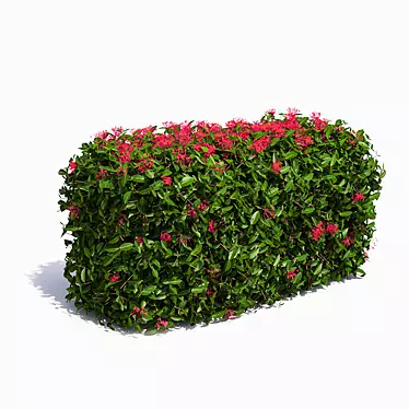 Exotic Blooms Live Hedge 3D model image 1 