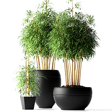 bamboo - 3D models category