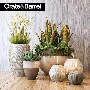 Modern Botanical Set | Crate&Barrel 3D model image 1 