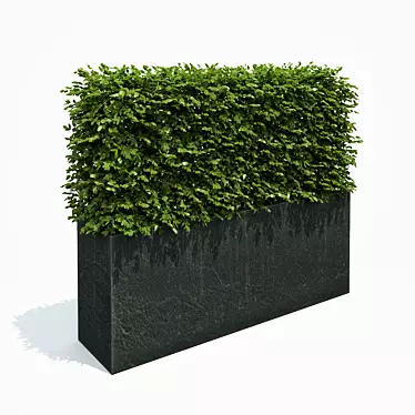 Sleek Black Hedge Planter 3D model image 1 