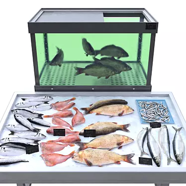 Aquatic Delight Fish Store 3D model image 1 