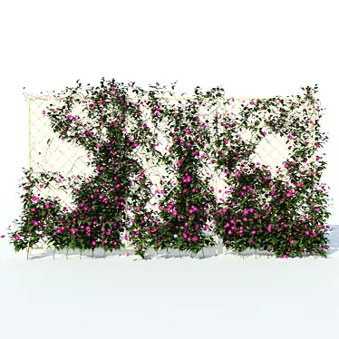 Clematis Vine Hedge | 3D Max Plugin 3D model image 1 