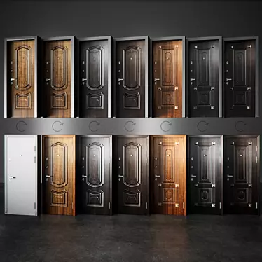 Torex Professor: Elegant Metal Entrance Doors 3D model image 1 