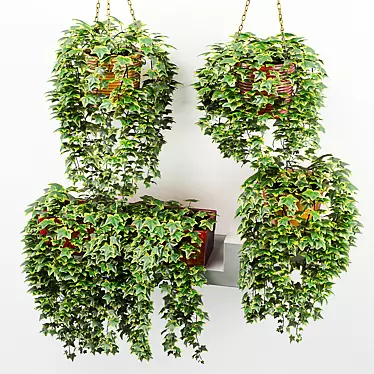 Hanging Ivy in Pot: Accentuate Shelf with Lush Greenery 3D model image 1 