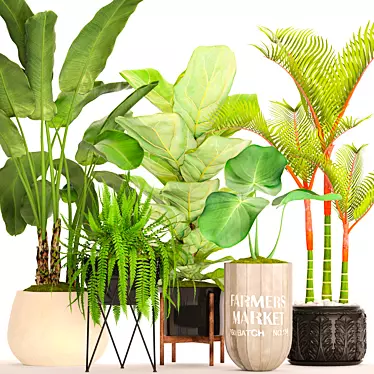 Tropical Plant Collection: 48 Potted Beauties 3D model image 1 