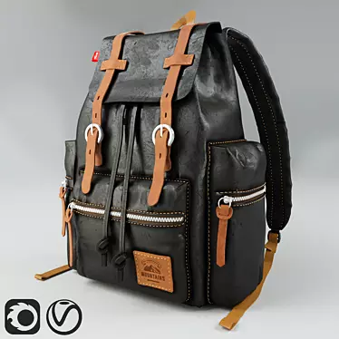 Title: Vintage Leather Backpack 3D model image 1 