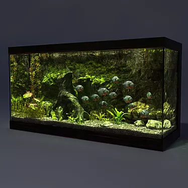 Piranha Aquarium - 1825x620x950mm 3D model image 1 