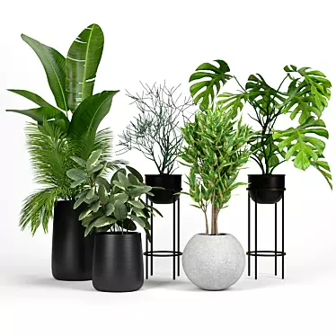 Modern Planters Set 04: Saabira Fiberstone, Sphere, Wesley Stand 3D model image 1 