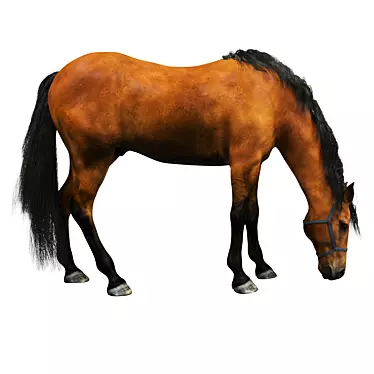 PBR Horse Model 3D model image 1 