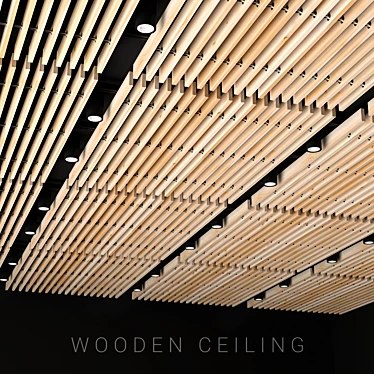 wood ceiling - 3D models category