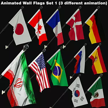 Animated Flags Pack: 12 Flags, 3 Animations 3D model image 1 