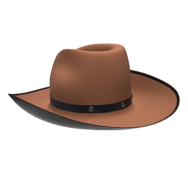 Rugged Western Cowboy Hat 3D model image 1 