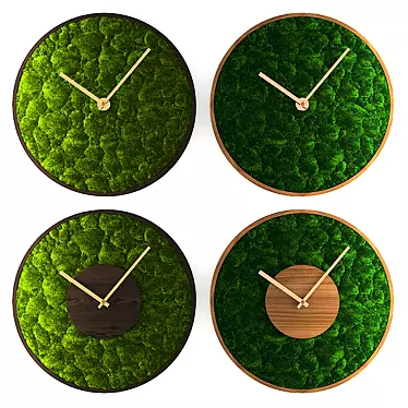 Title: MossTime: Innovative Moss-Stabilized Watch 3D model image 1 