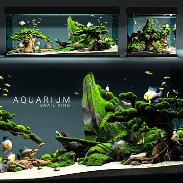  Majestic Kingdom: Aquarium Snail King 3D model image 1 