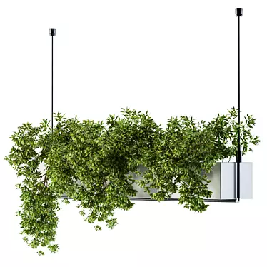 Elevated Greenery Box 3D model image 1 