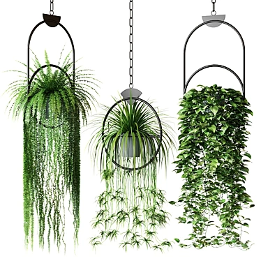 hanging plants - 3D models category