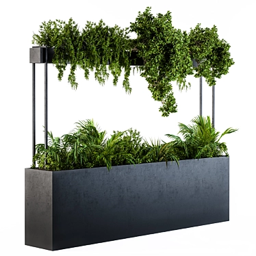 plant box - 3D models category