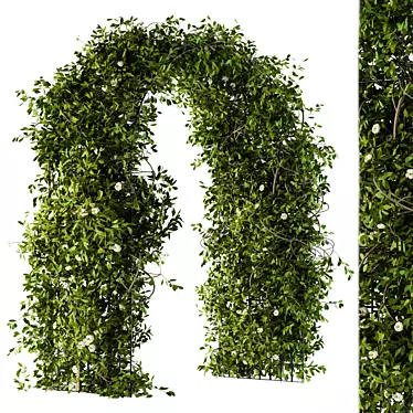 Natural Greenery Pergola 3D model image 1 