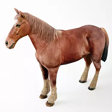 Realistic 3D Horse Model 3D model image 1 