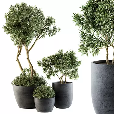 Outdoor Greenery Set: 90 Tree-in-Pot 3D model image 1 