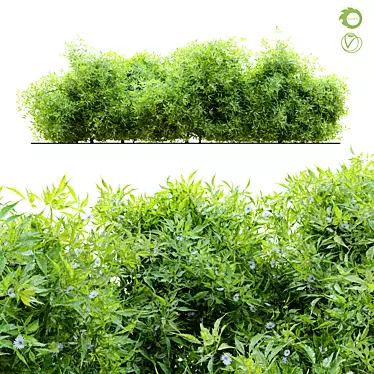 Flourishing Bush - 1.2m Height 3D model image 1 