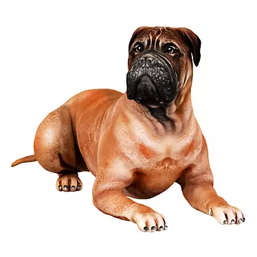  Lifelike Bullmastiff Dog Model 3D model image 1 