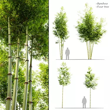 Tropical Elegance: Four Bamboo Trees 3D model image 1 