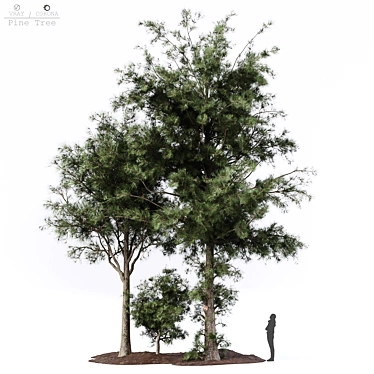 pine tree - 3D models category