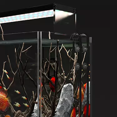 Natural Biotope Aquarium with Discus Fish 3D model image 1 