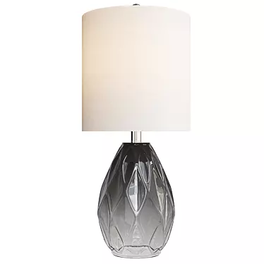 Elegant Gray Glass Table Lamp 3D model image 1 