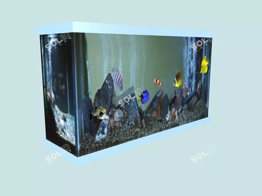 Aquarium of Diverse Textures 3D model image 1