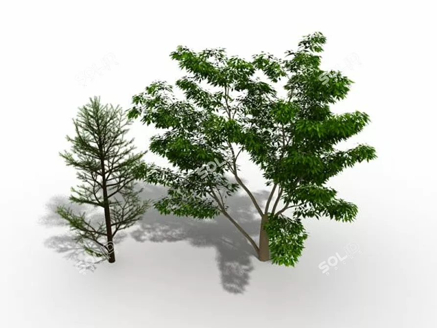 Funny Tree Duo: Double the Laughter! 3D model image 1