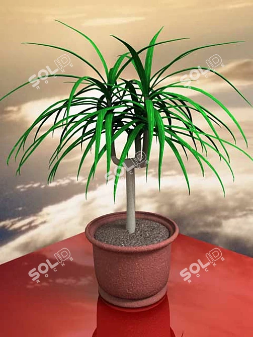 Vazon: Stylish Multipurpose Planter 3D model image 1