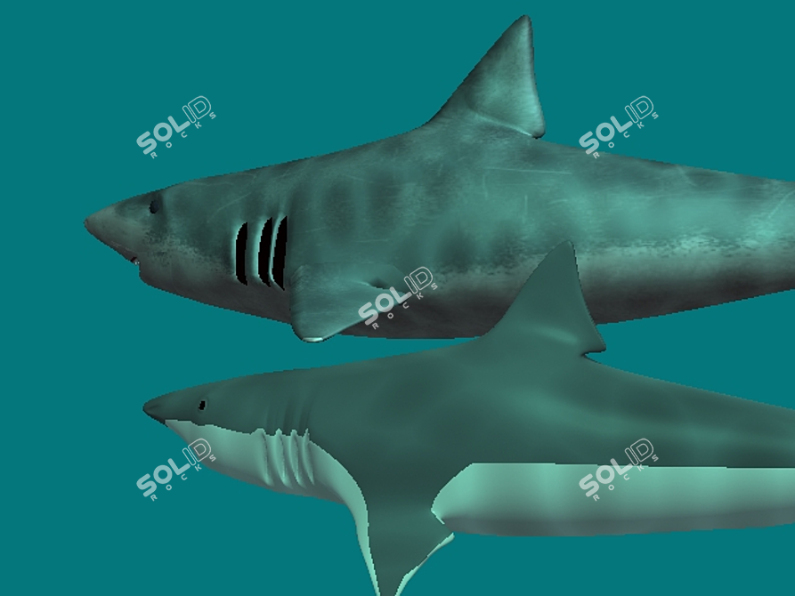 Shark Model Set: Simple & Painted Pieces 3D model image 1