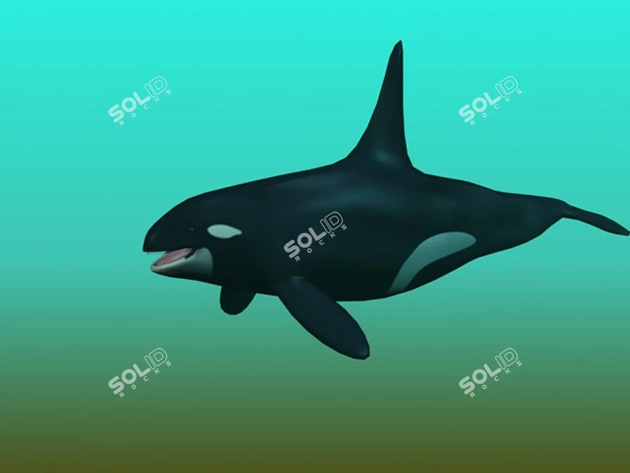 Oceanic Majesty 3D Orca Render 3D model image 1