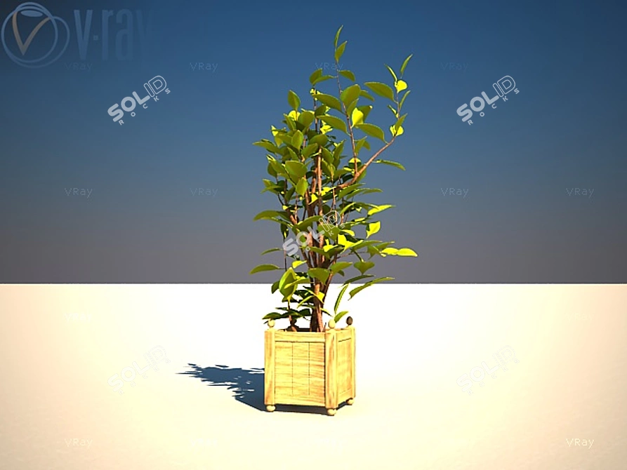 Indoor Plant: Vibrant and Refreshing 3D model image 1