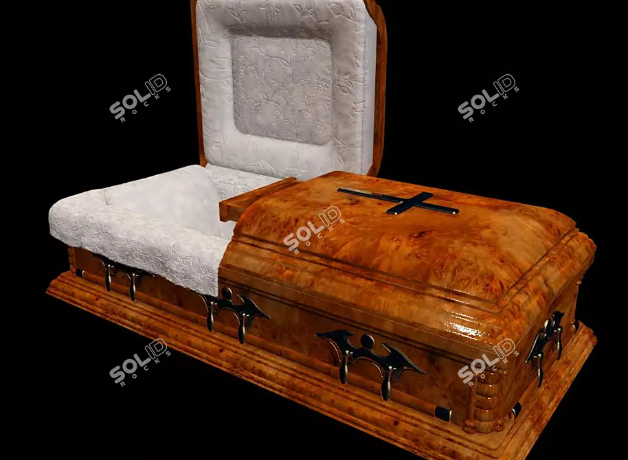 Elegant Textured Coffin 3D model image 1