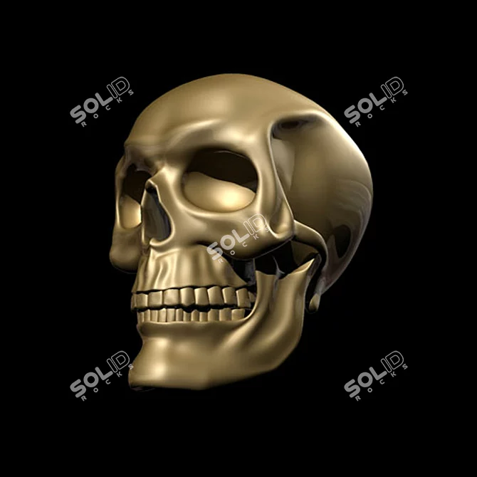 3D Skull Model - Multiple File Formats 3D model image 1