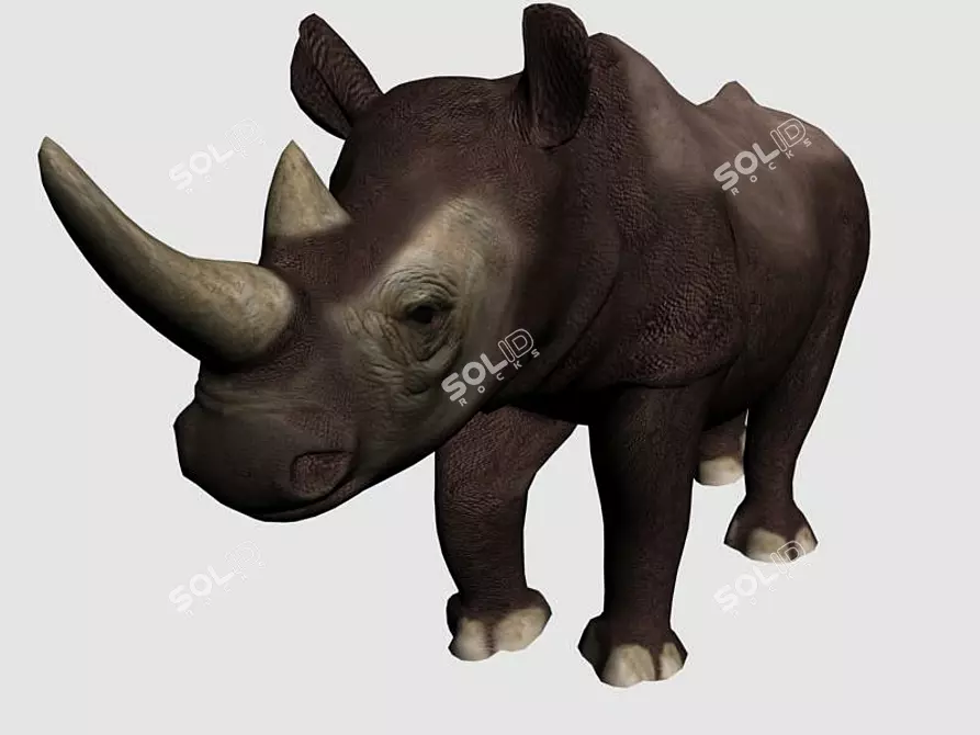 Black Rhino: Wildlife Modeling Mastery 3D model image 1