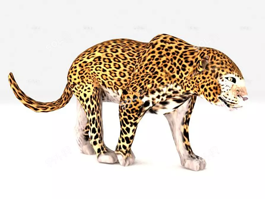 Sleek Leopard 3D Model 3D model image 1
