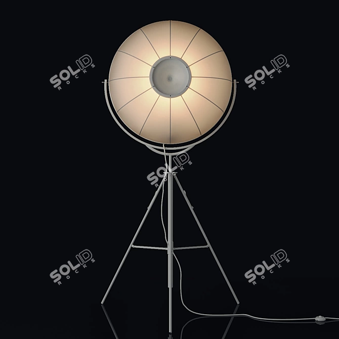 Fortuny Italian Floor Lamp 3D model image 3