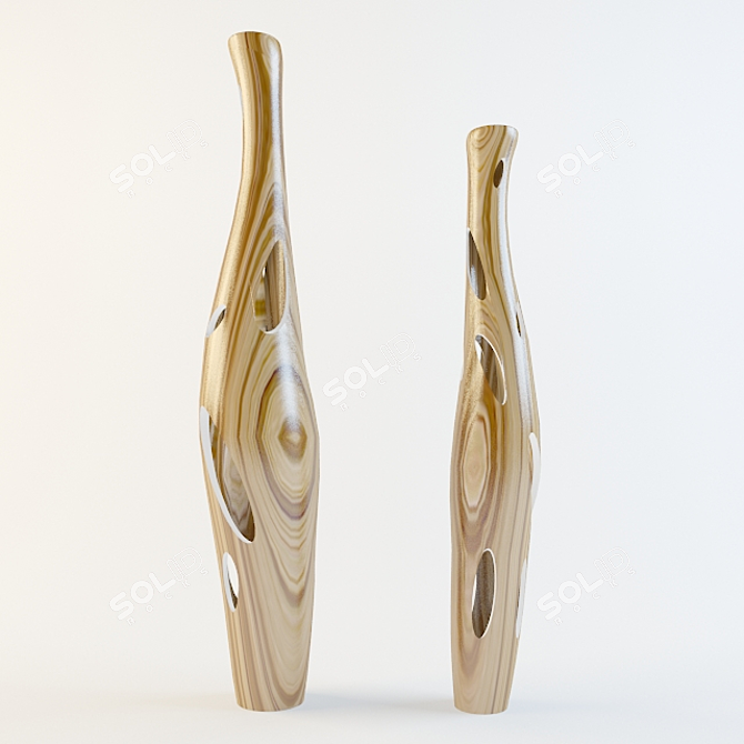 Elegant Hole Vases 3D model image 1