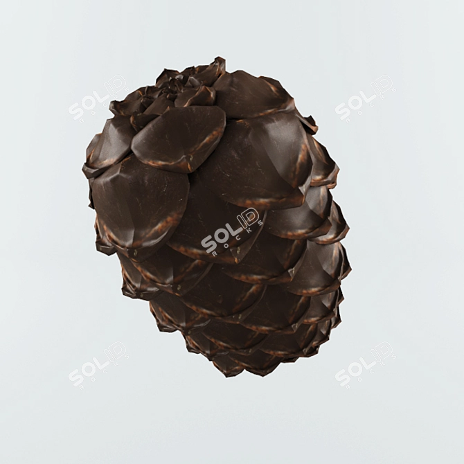 Cedar Cone: Nature's Treasure 3D model image 1