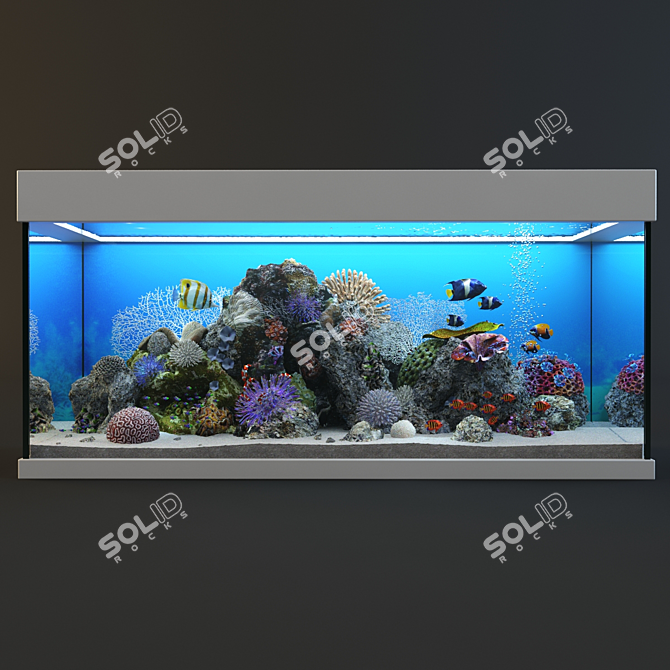 Ocean Bliss Glass Aquarium 3D model image 2